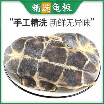 龟板中药材生龟板干龟甲另有炙龟板生龟甲醋炙龟板