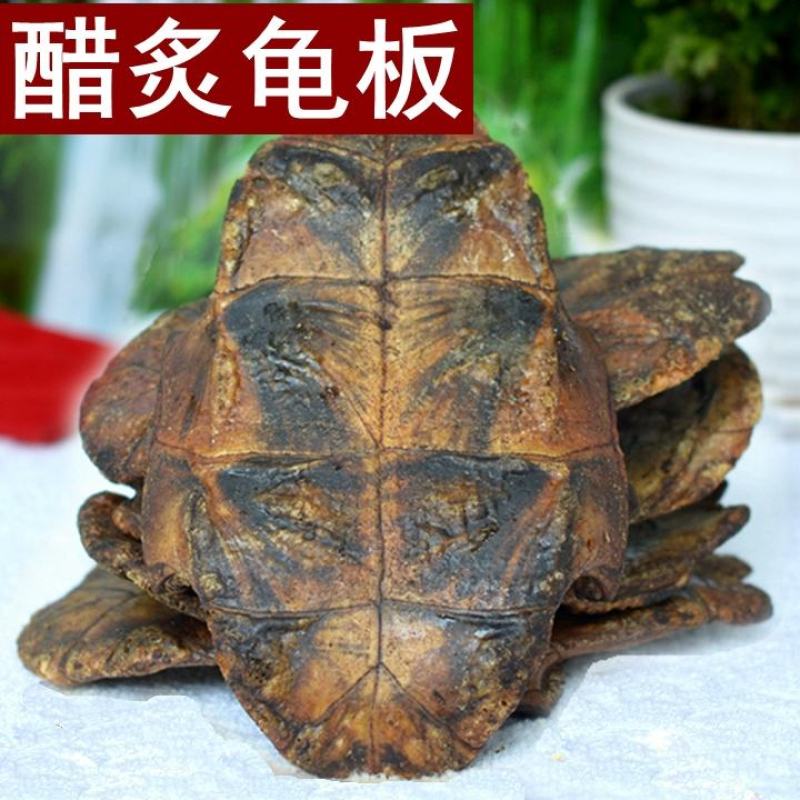 龟板中药材生龟板干龟甲另有炙龟板生龟甲醋炙龟板