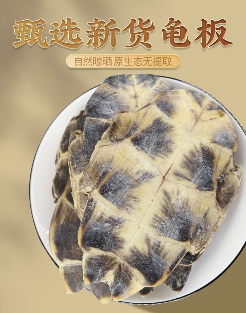 龟板中药材生龟板干龟甲另有炙龟板生龟甲醋炙龟板