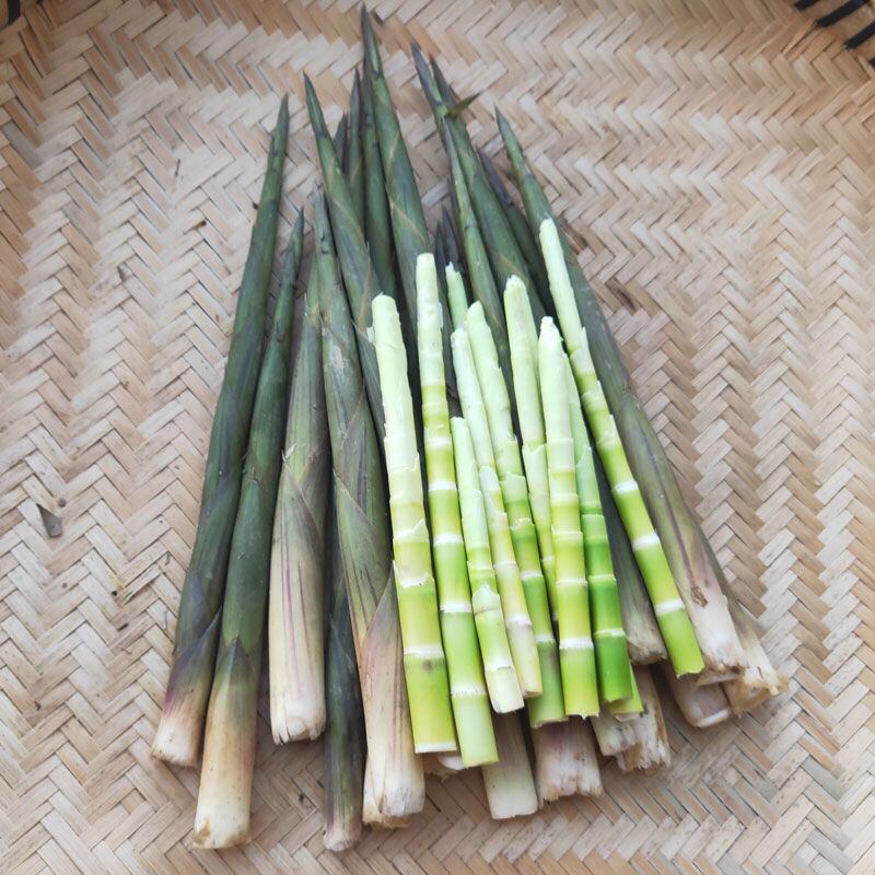 深山野金竹笋大量上市，每日现挖现收。。。。。