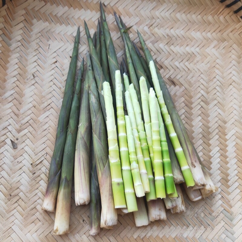 深山野金竹笋大量上市，每日现挖现收。。。。。