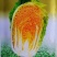 红金宝种籽秋季菜籽种耐寒抗病高产红心白菜种子农家蔬菜孑