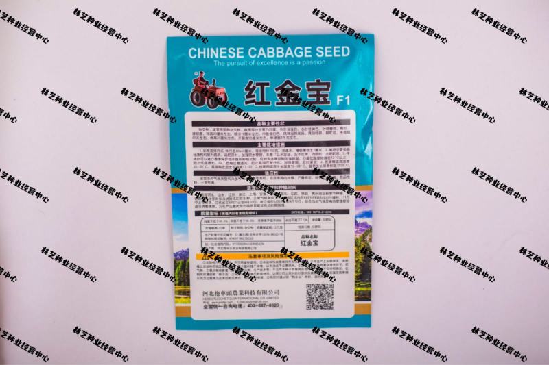 红金宝种籽秋季菜籽种耐寒抗病高产红心白菜种子农家蔬菜孑