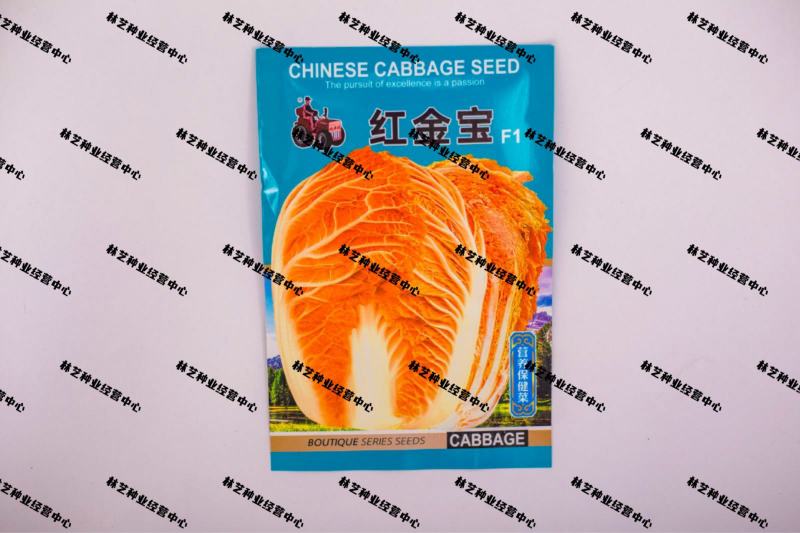 红金宝种籽秋季菜籽种耐寒抗病高产红心白菜种子农家蔬菜孑