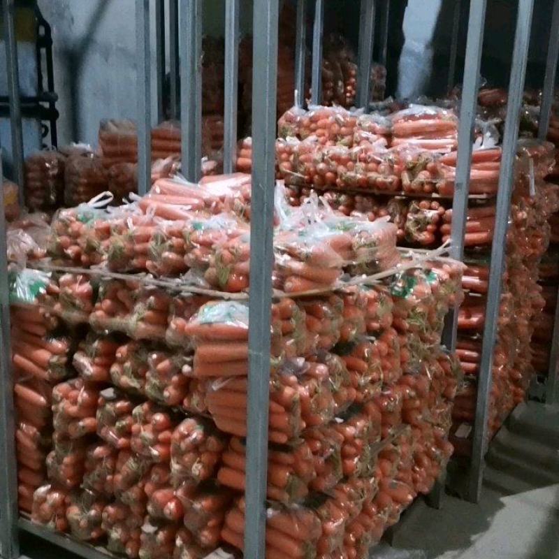 精品胡萝卜，水洗，带土超市电商平台，批发市场全年供应