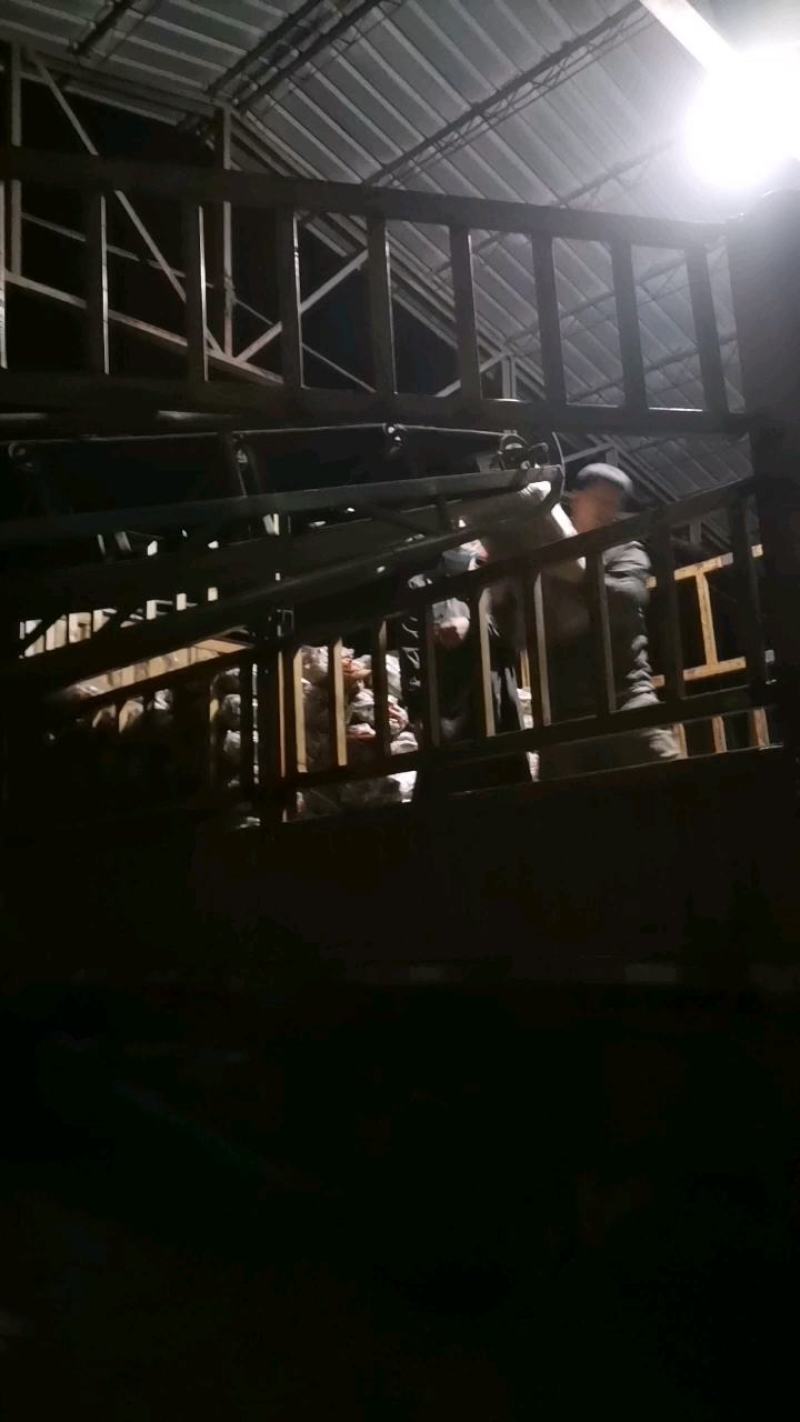 精品胡萝卜，水洗，带土超市电商平台，批发市场全年供应