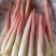 生态阳荷笋，不打药，不施肥的绿色蔬菜，价格实惠。