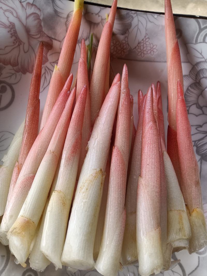 生态阳荷笋，不打药，不施肥的绿色蔬菜，价格实惠。