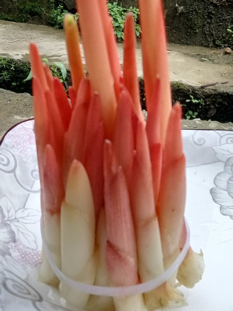 生态阳荷笋，不打药，不施肥的绿色蔬菜，价格实惠。