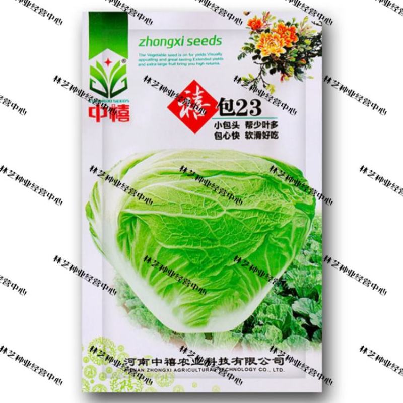 大白菜种子抗热黄心大白菜种籽室内阳台盆栽蔬菜子禧包23