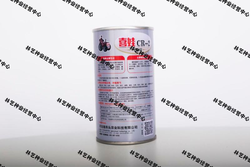 喜娃黄心白菜种子黄芯秋播大白菜种籽冬储白菜耐寒口感好