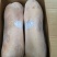 冷冻乳猪小猪崽整只烤猪专用各种规格商用
