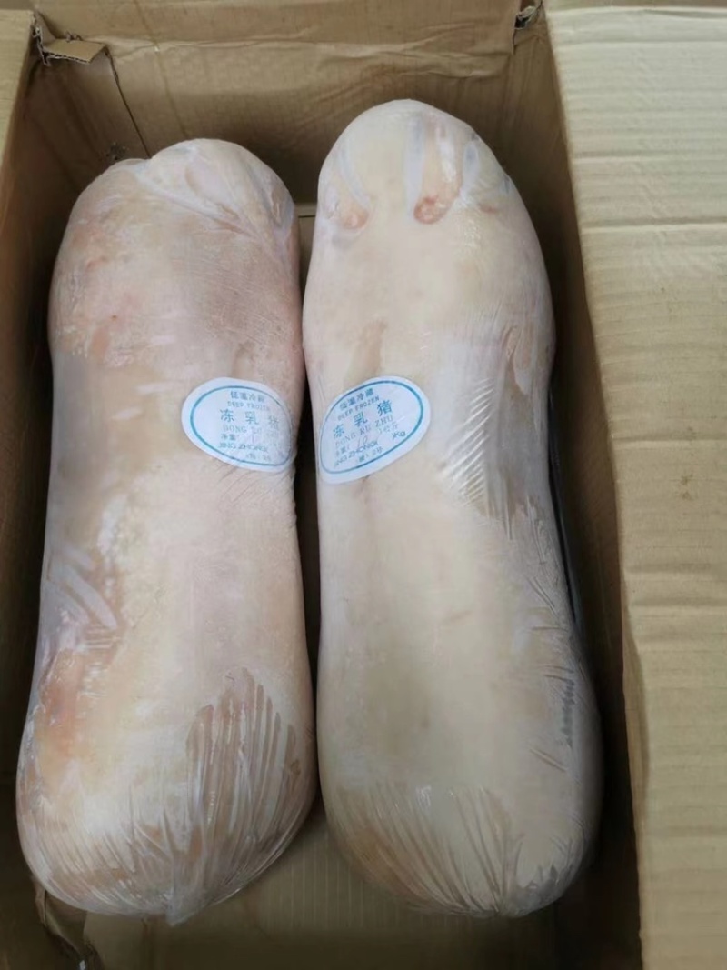 冷冻乳猪小猪崽整只烤猪专用各种规格商用