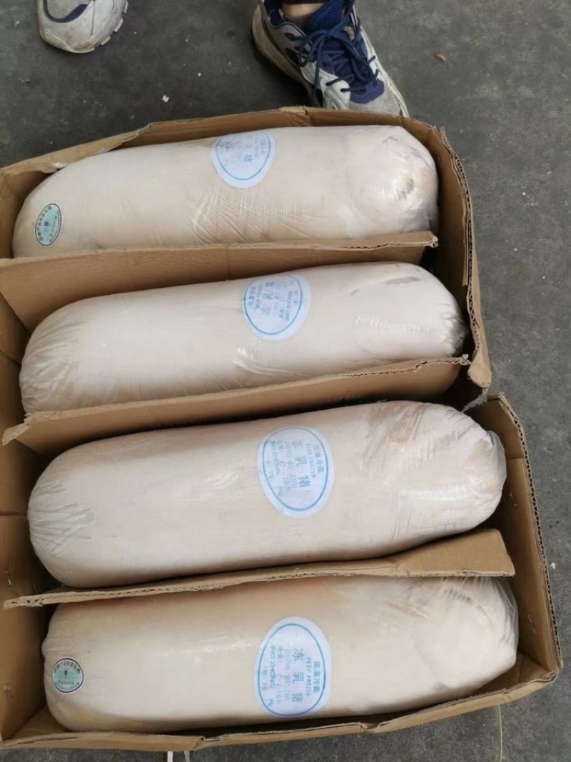 冷冻乳猪小猪崽整只烤猪专用各种规格商用