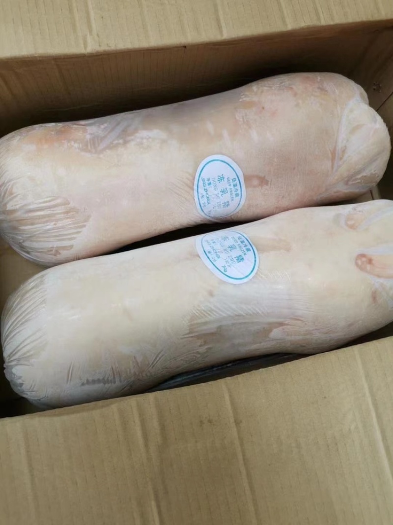 冷冻乳猪小猪崽整只烤猪专用各种规格商用