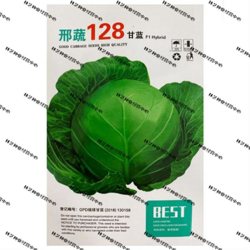 蔬菜种子甘蓝种子包菜邢蔬128号老品种卷心菜籽春