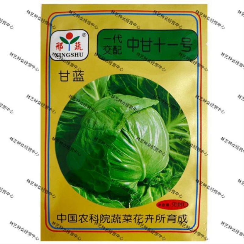 中甘十一甘蓝种子高产量包心菜卷心菜白菜种子籽抗寒大田盆栽