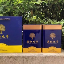 英德英红九号