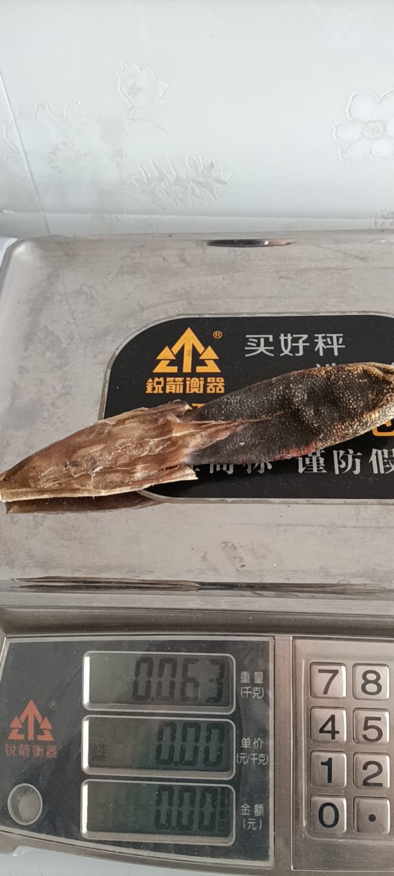 梅花鹿鹿尾，干鹿尾！梅花鹿鹿尾，干鹿尾！