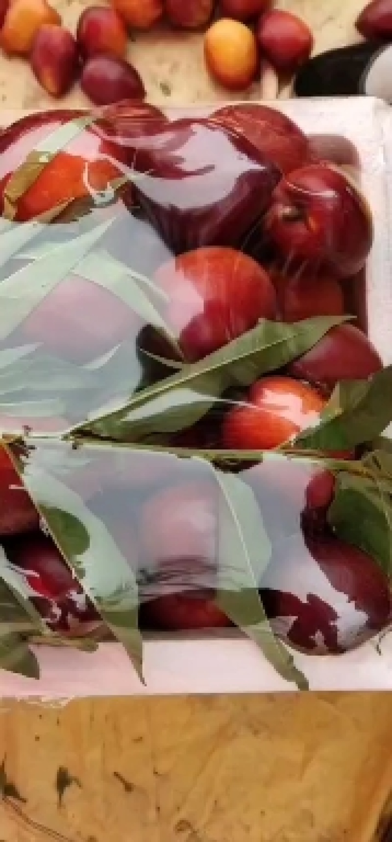 【产地直发】精品中油126号油桃，5号油桃陆地油桃