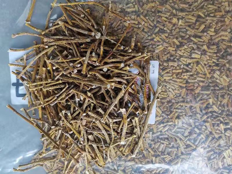 夹江叠鞘石斛基地货，产品齐全，有需要的老板可以联系我