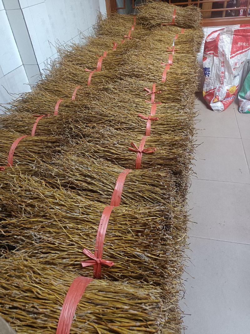 夹江叠鞘石斛基地货，产品齐全，有需要的老板可以联系我