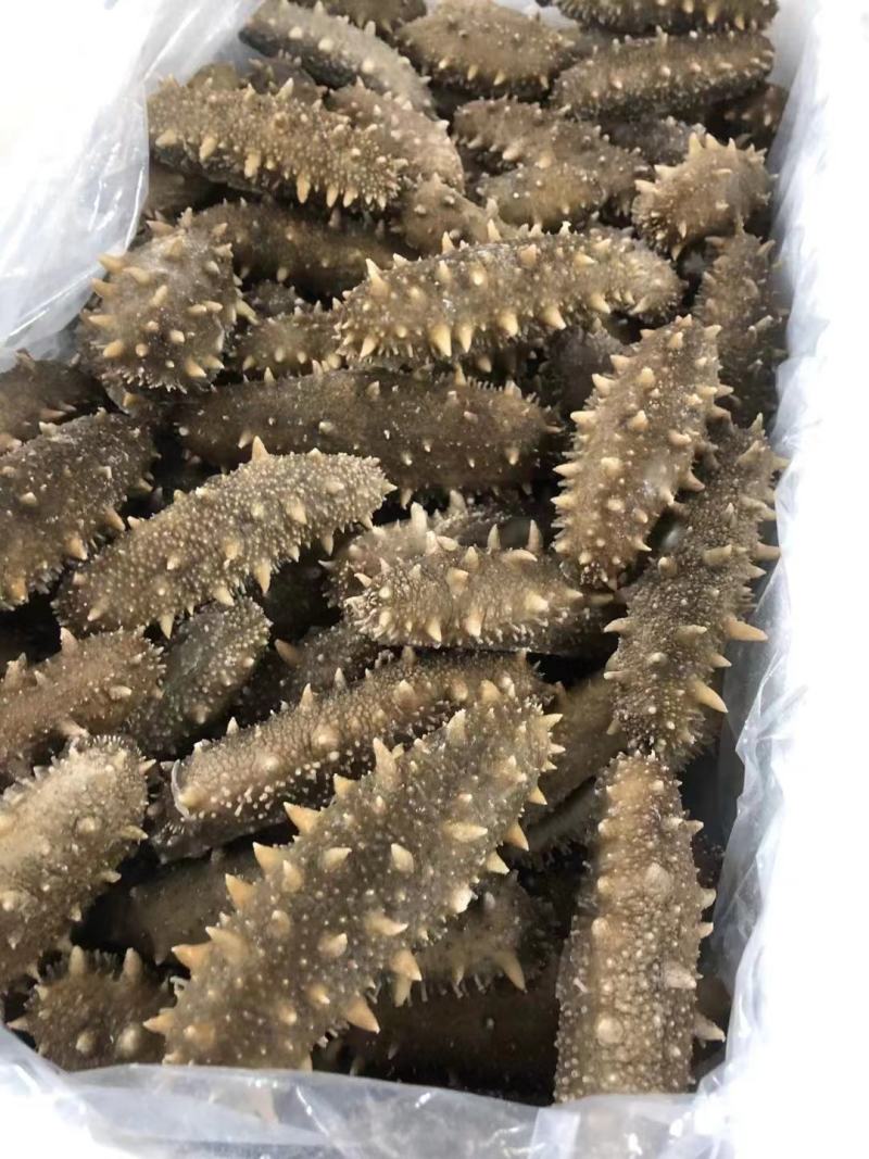 大连即食海参，各类规格大小都有，基地直供价格优惠
