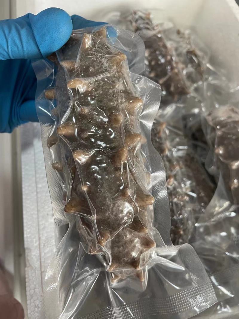 大连即食海参，各类规格大小都有，基地直供价格优惠