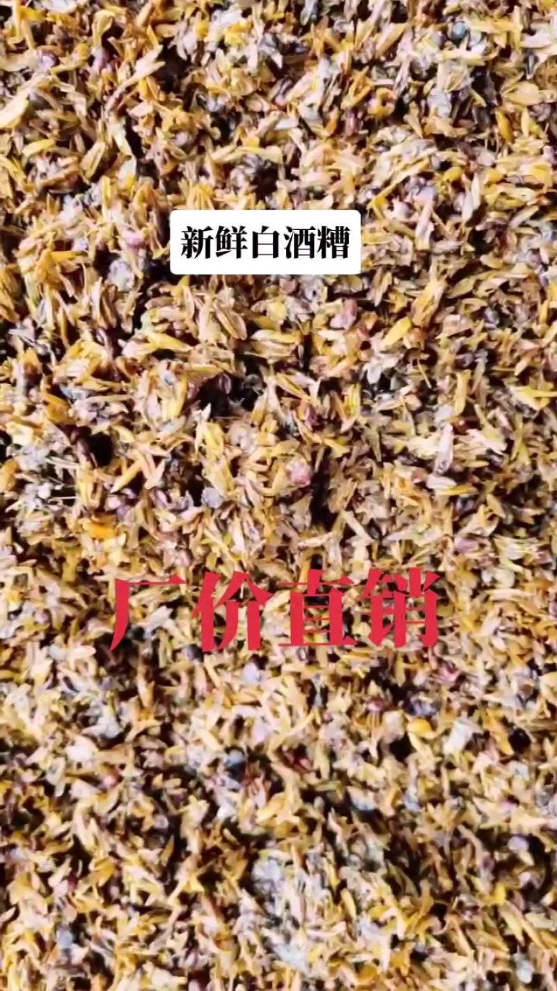 长期供应，啤酒糟，白酒糟，厂价直销