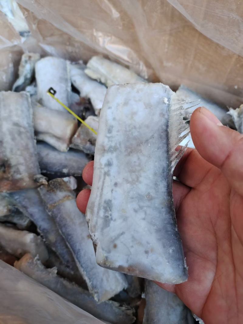 单冻带鱼肚子，大量有货有带冰衣，有不带冰衣的