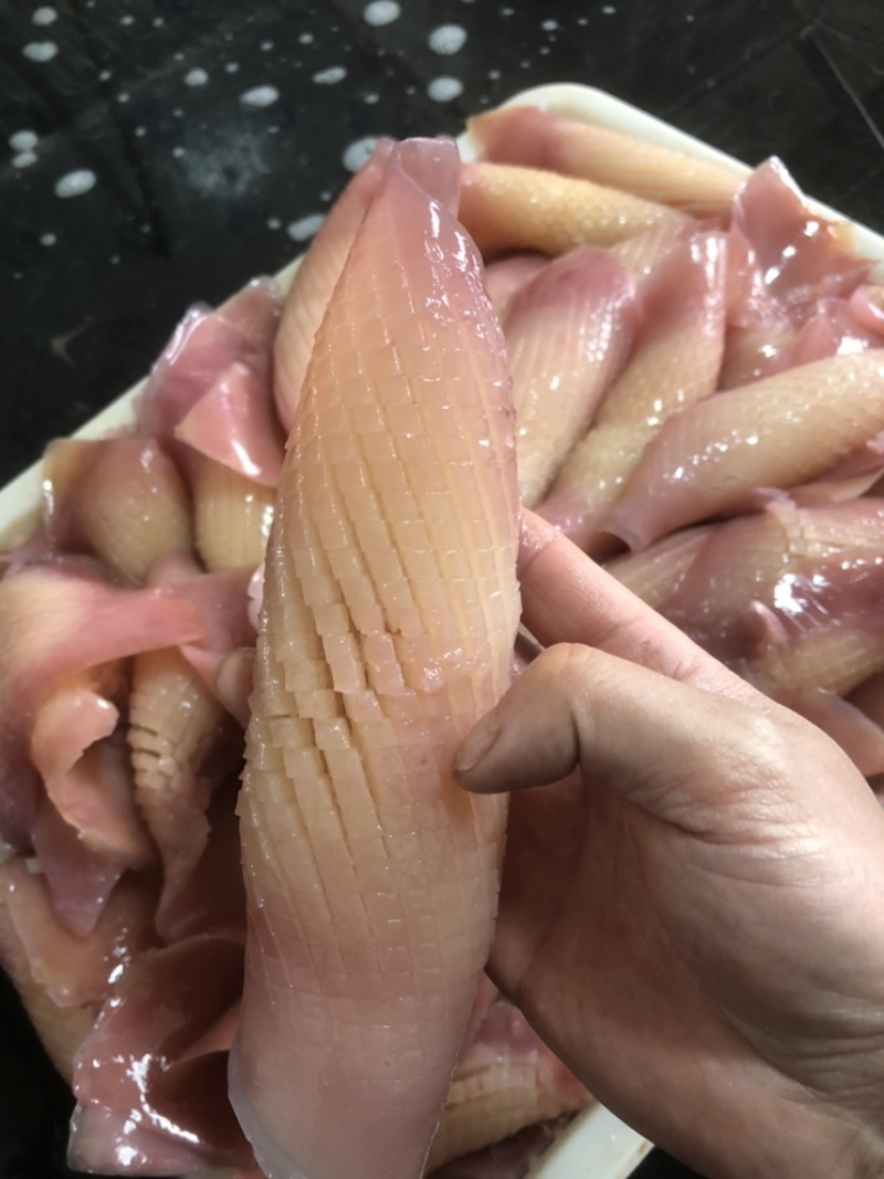 火箭鱿鱼原料