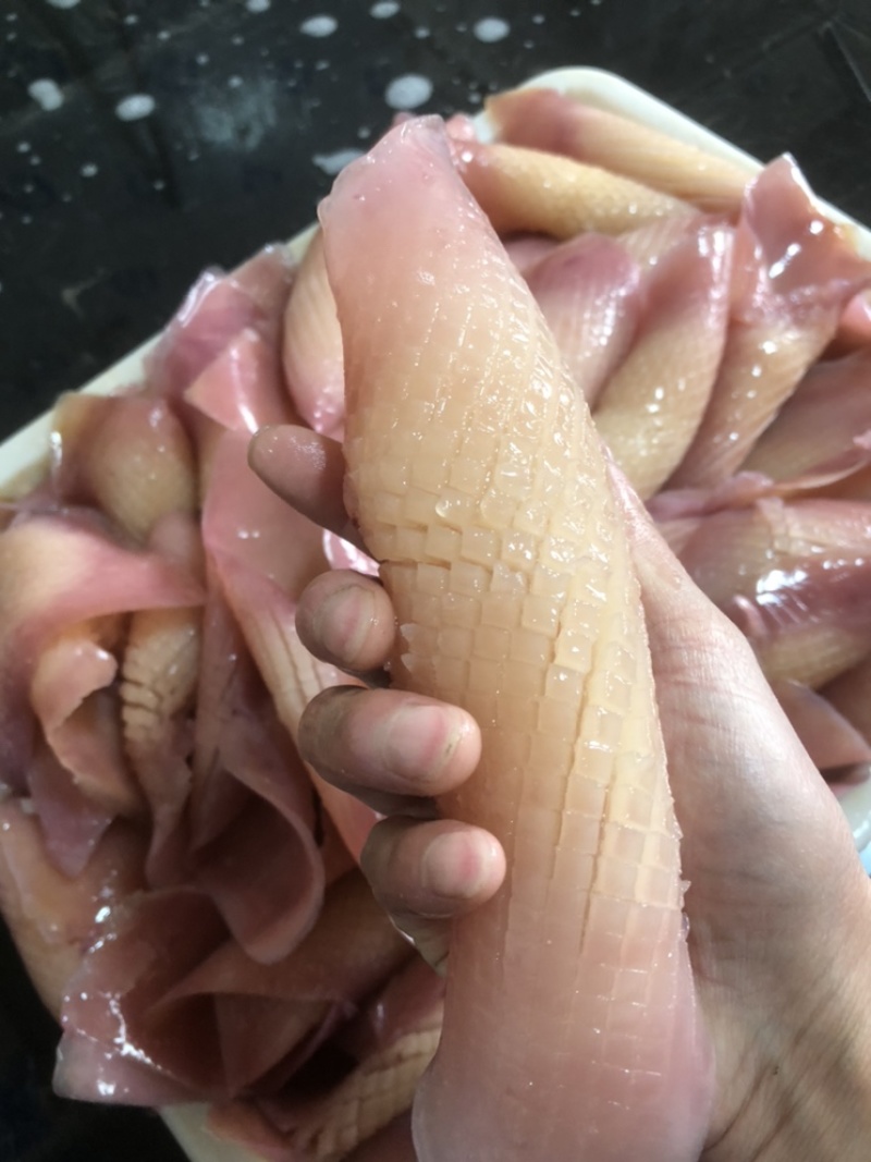 火箭鱿鱼原料