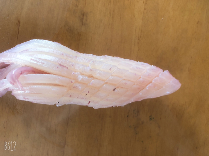 火箭鱿鱼原料