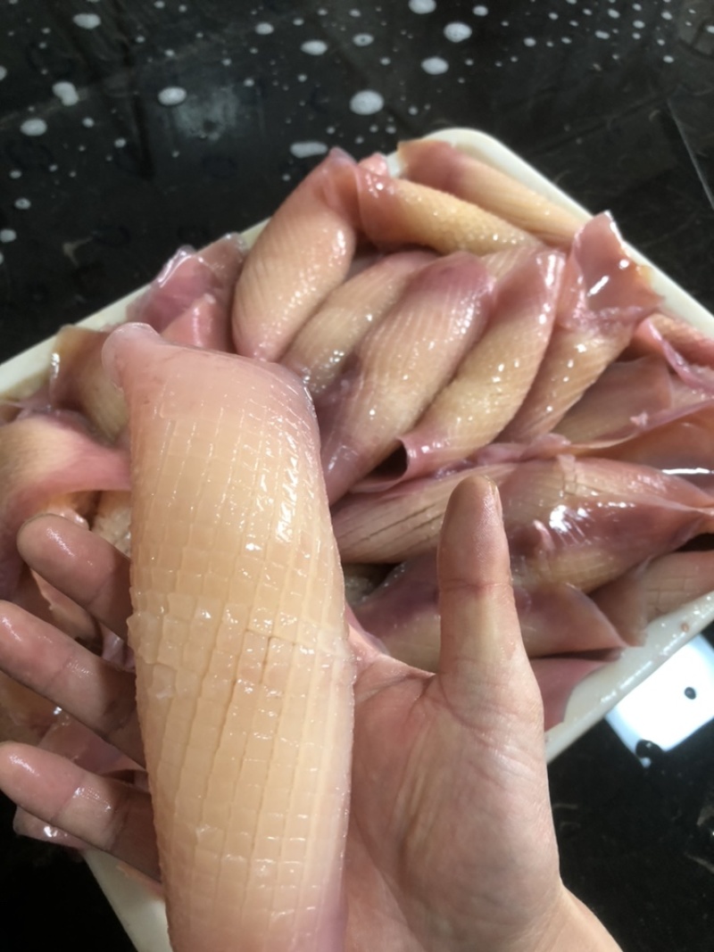 火箭鱿鱼原料