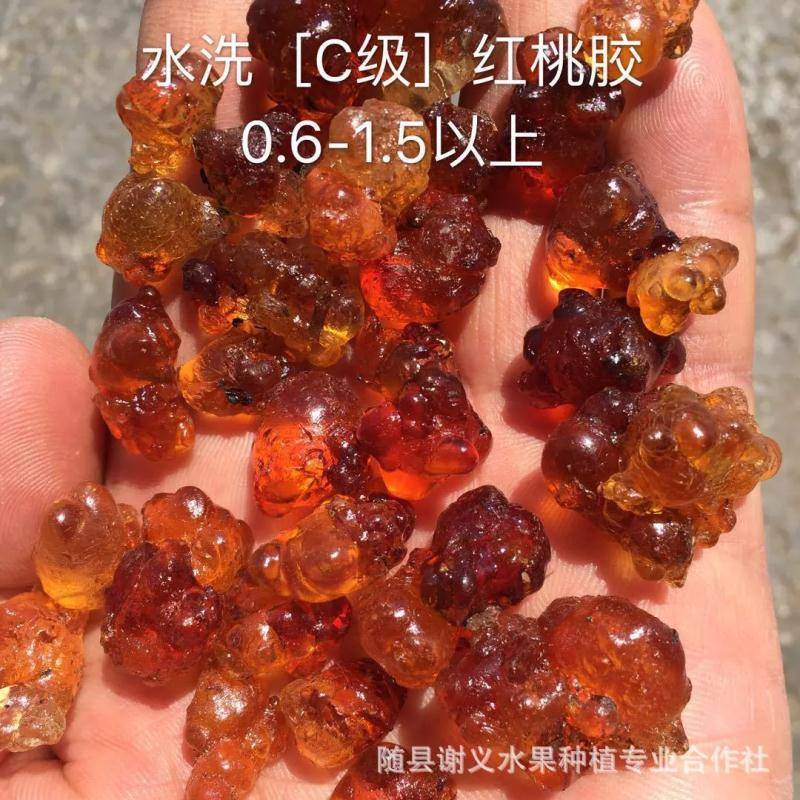 桃胶水洗金黄黄红爆米花0.6-1.5统货产地一手货源批发
