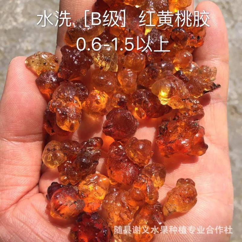 桃胶水洗金黄黄红爆米花0.6-1.5统货产地一手货源批发