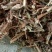 长期批发优质牛羊饲料花生秧牛羊饲料花生秧，无土无膜，
