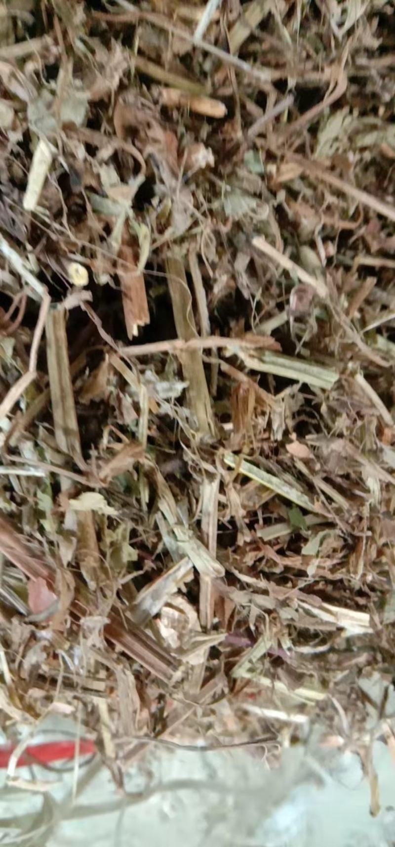 长期批发优质牛羊饲料花生秧牛羊饲料花生秧，无土无膜，