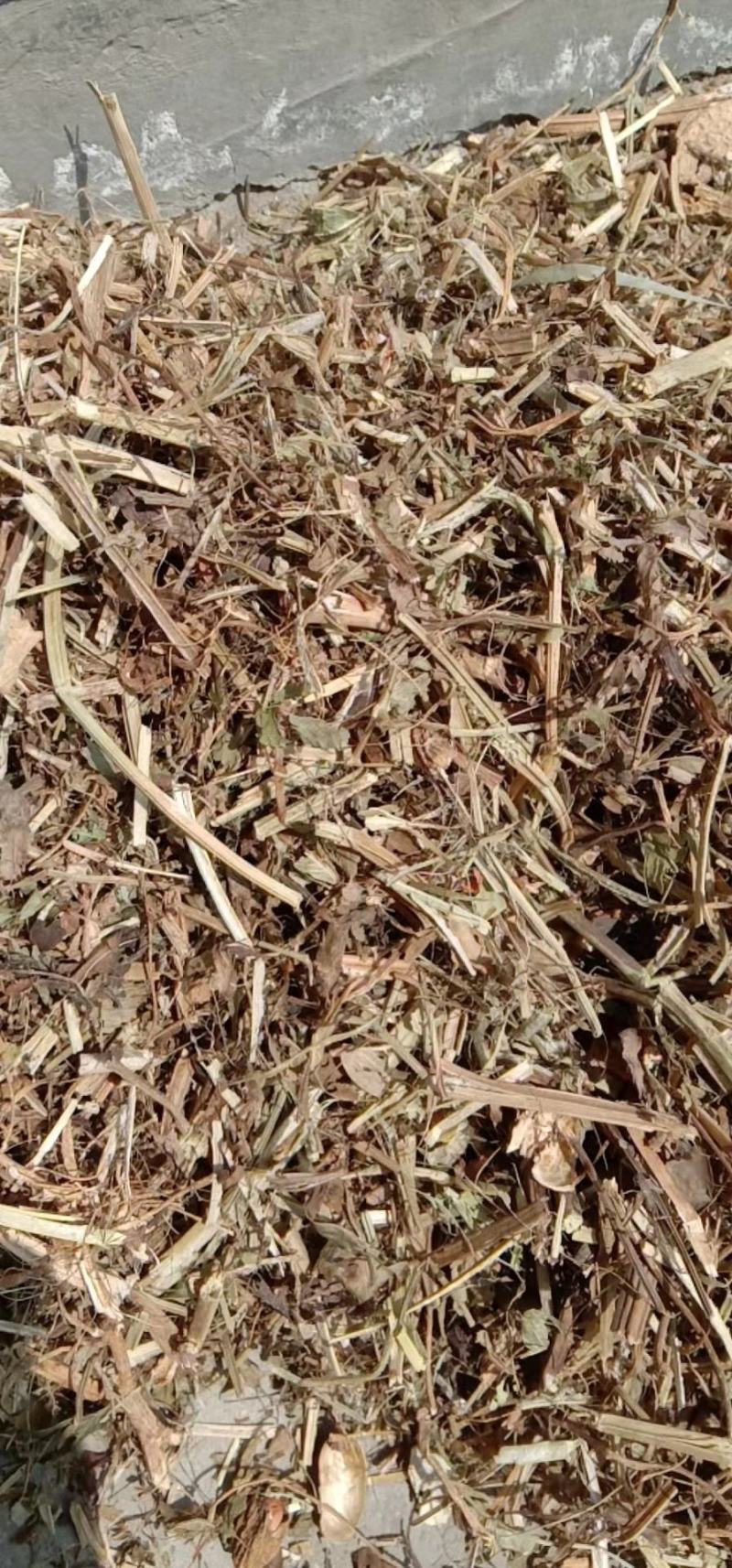 长期批发优质牛羊饲料花生秧牛羊饲料花生秧，无土无膜，