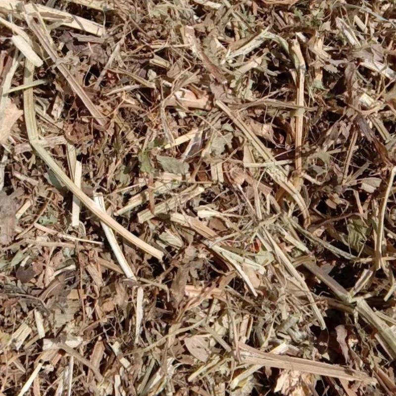 长期批发优质牛羊饲料花生秧牛羊饲料花生秧，无土无膜，