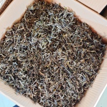 精品普洱茶，古树茶，产地直销，品质保证，欢迎选购