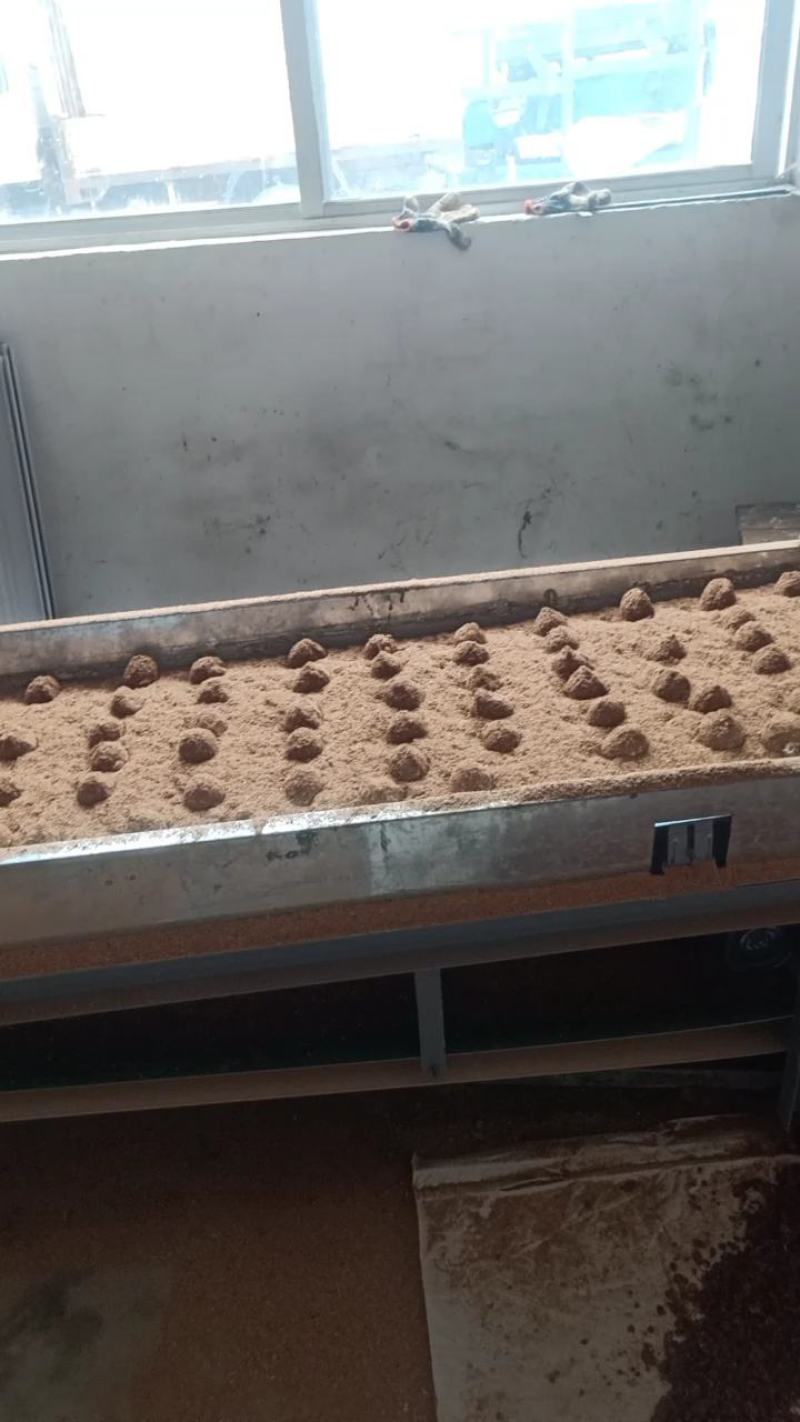无铅溏心黄金皮蛋