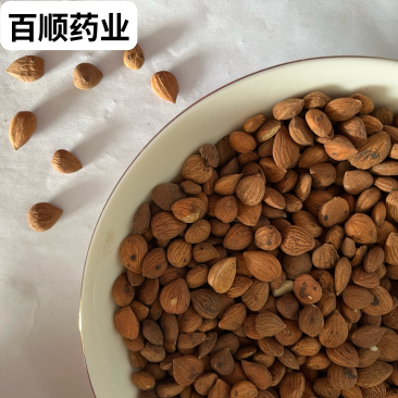 苦杏仁河北苦杏仁个大饱满产地直销量大从优大货批发