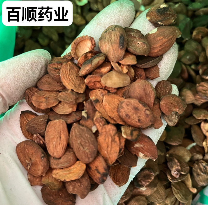 炒桃仁产地山东农家自炒无硫正品保证