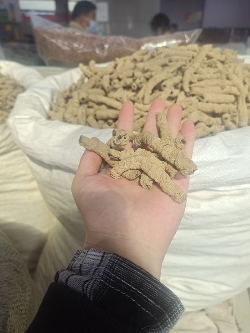 巴戟天巴戟天肉抽芯干货规格齐全无硫干货可代发