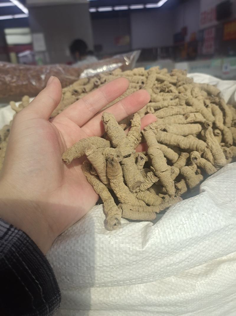 巴戟天巴戟天肉抽芯干货规格齐全无硫干货可代发