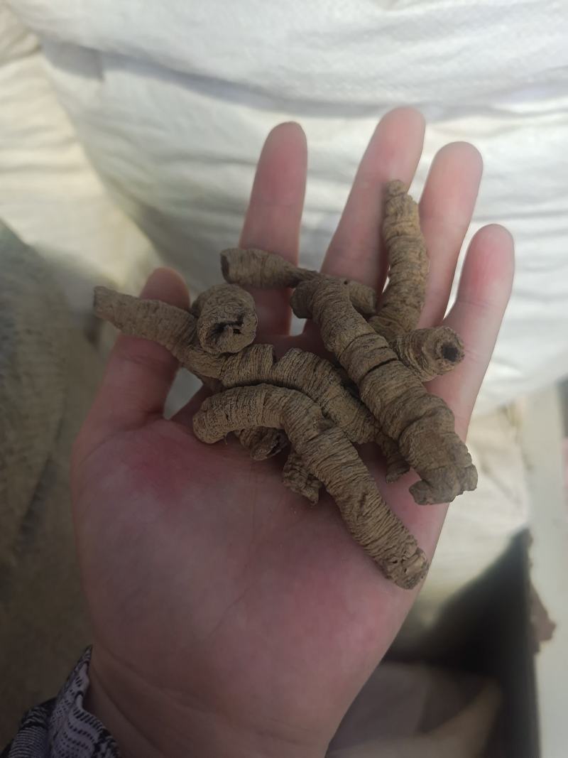 巴戟天巴戟天肉抽芯干货规格齐全无硫干货可代发