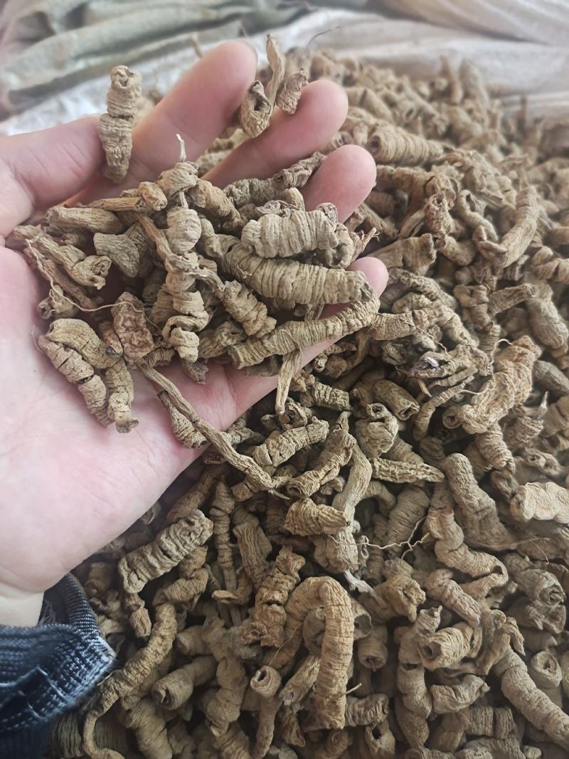 巴戟天巴戟天肉抽芯干货规格齐全无硫干货可代发