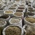 白芍炒白芍今年新货实图拍摄颜色好看产地采购