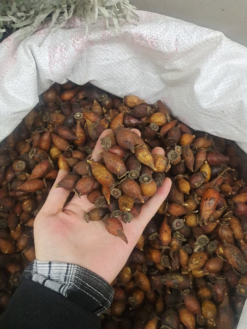 金樱子无硫金樱子刺梨常年加工批发整个颜色好量大从优